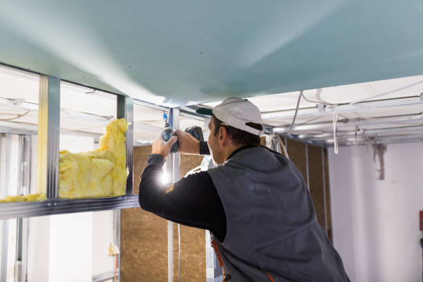 Best Eco-Friendly or Green Insulation Solutions  in Mshall, AR